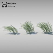 树木草模型图片