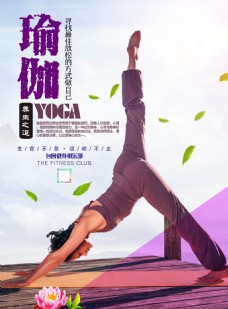 瑜伽运动瑜伽海报运动海报