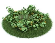 园林植物金鱼草3d模型下载