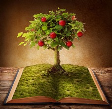 树木书本与苹果树