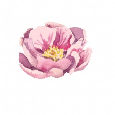 迷人花朵迷人粉色花朵psd源文件
