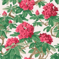 清新自然鲜红色花朵壁纸图案