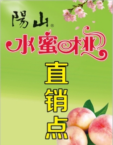 阳山水蜜桃图片