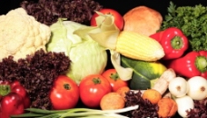 蔬菜集图图片