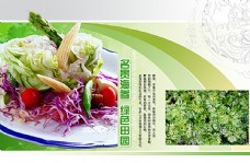 绿色蔬菜绿色菜谱图片