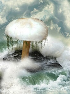 大自然海浪中的蘑菇