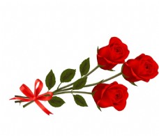 玫红色玫瑰红色玫瑰花朵png元素
