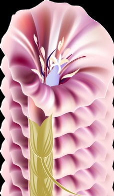 紫色喇叭花透明装饰素材