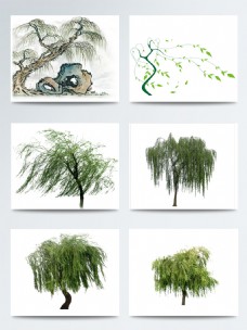 发芽手绘柳树元素图案集合