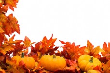 秋天的背景和南瓜摄影图片素材