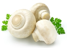 蘑菇青菜图片