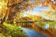 秋天湖泊树木风景