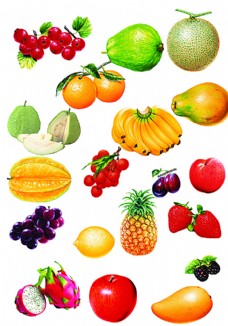 水果大全图片