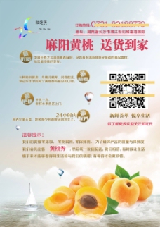 水果宣传黄桃海报水果海报创意海报黄桃宣传单