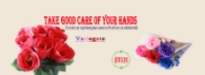 肥皂花产品海报