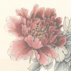 花朵主图背景