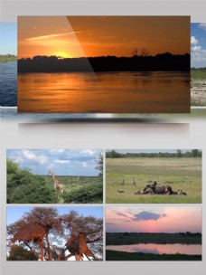 亚洲非洲超清大草原国家纳米比亚实拍视频