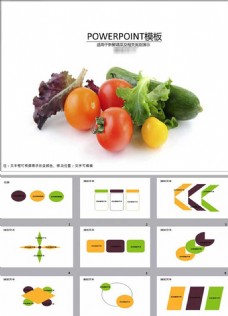 健康蔬菜健康营养蔬菜ppt模板