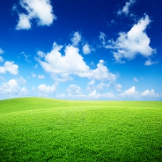 蓝天白云草地蓝天下的草地
