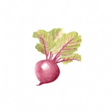 绿色蔬菜手绘红色萝卜元素