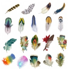 各类图案彩色各类羽毛图案PNG元素