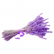 浪漫紫色薰衣草花朵花束实物元素