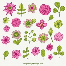 绿色调可爱的花在绿色和粉红色的色调收藏