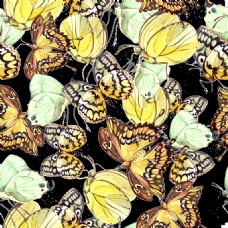 手绘黄色蝴蝶背景png透明素材