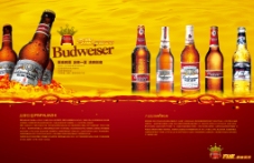 POP海报广告创意百威啤酒广告宣传海报折页分层素材图片