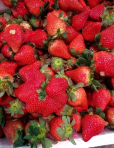 奇特的红色草莓图片