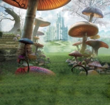 建筑摄影草地上的建筑物蘑菇影楼摄影背景图片
