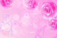 牡丹精美梦幻玫瑰背景图片
