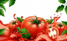 西红柿蔬菜ai矢量素材下载