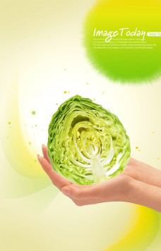绿色蔬菜蔬菜图片
