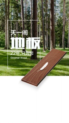 地板海报森林树木地板矢量