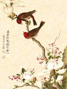 中国风花鸟画
