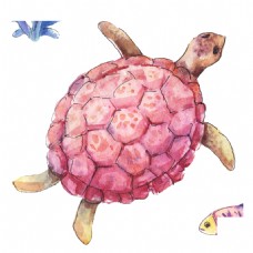 手绘一只海龟png透明素材