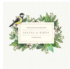 结婚背景设计手绘自然花鸟标签背景图片
