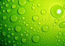 高清绿色水滴背景图片