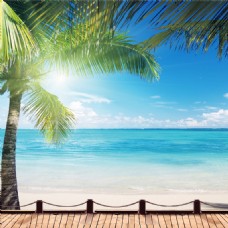 蓝天白云海滩椰子树背景