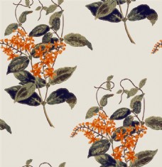 雅致自然风格橙色花朵壁纸图案