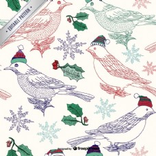 圣诞节鸟类图案