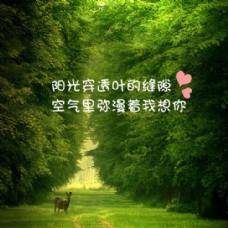 童话森林背景图片