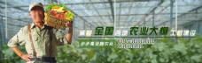 绿色蔬菜绿色农业企业官网大图banner网页设计
