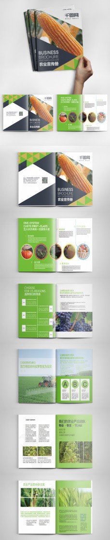 时尚版式农业产品画册PSD模板