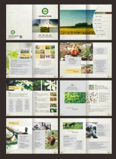 设计素材农副产品画册设计模板矢量素材