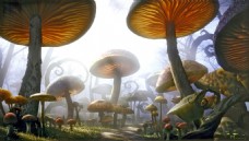 高清梦幻蘑菇森林