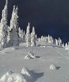 冰雪世界自然风景贴图素材JPG0303