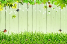木板草地绿叶背景墙