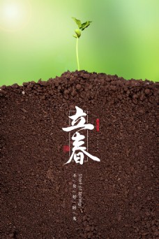 字体立春节气发芽土壤自然海报